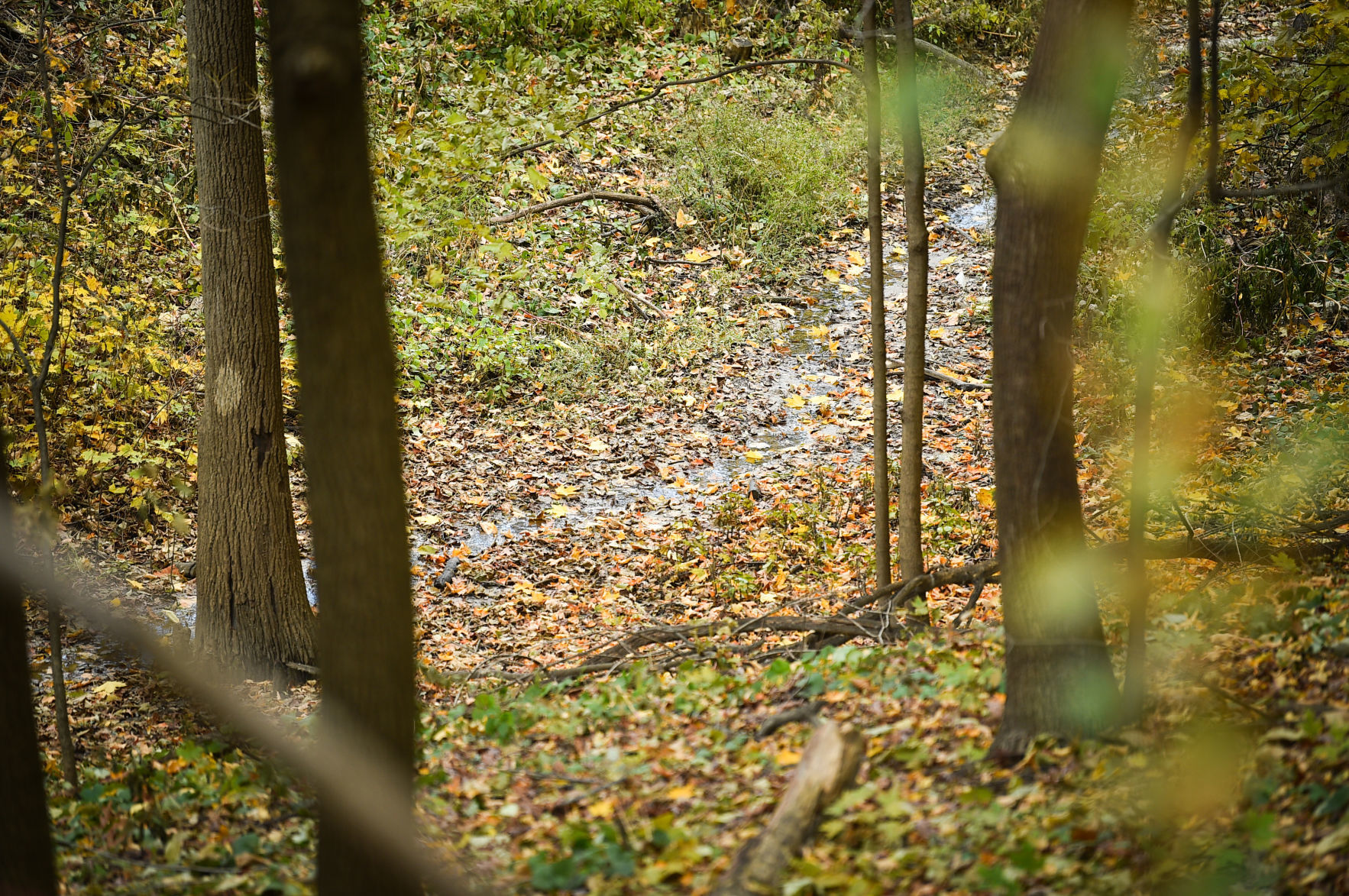 110819-qct-qca-hauberg-009a.JPG